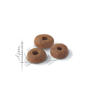 Royal Canin для бывающих на улице кошек (1-7 лет), Fit 32