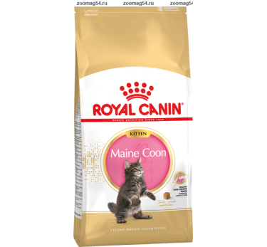 Royal Canin  Maine Coon Kitten для котят мейн-кун (4-15 мес.)