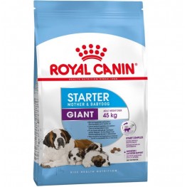 Royal Canin Giant Starter для щенков до 2 месяцев, беременных и лактирующих собак гигантских пород