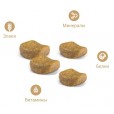 Корм Royal Canin для британских короткошерстных кошек (1-10 лет), British Shorthair