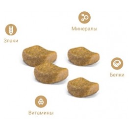 Корм Royal Canin для британских короткошерстных кошек (1-10 лет), British Shorthair