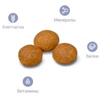  Royal Canin Hair & Skin 33 для кошек уход за шерстью и кожей: от 1 года,