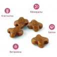 Royal Canin  Kitten для котят от 4 до 12 мес.