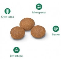  Royal Canin для кошек мейн-кун 1-10 лет, Мaine Coon