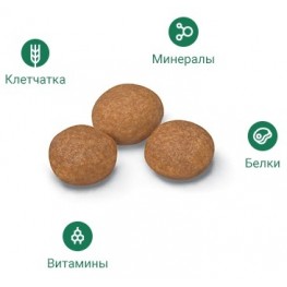 Royal Canin для кошек мейн-кун 1-10 лет, Мaine Coon