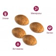 Royal Canin для кошек персов 1-10 лет, Persian 30
