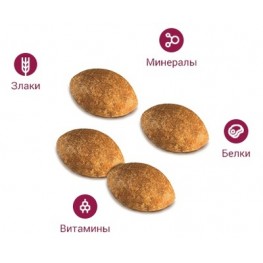 Royal Canin для кошек персов 1-10 лет, Persian 30