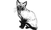 Кошки