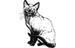 Кошки