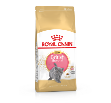 Royal Canin British Shorthair Kitten для британских короткошерстных котят (4-12мес)