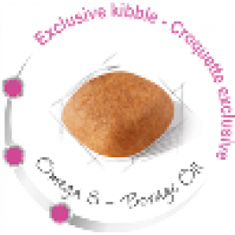 Royal Canin для вест хайленд уайт терьера с 10 мес., West Highland White Terrier 21