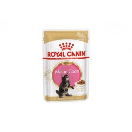 Royal Canin Maine Coon Kitten 4-15 мес, кусочки в соусе для котят породы Мейн-Кун