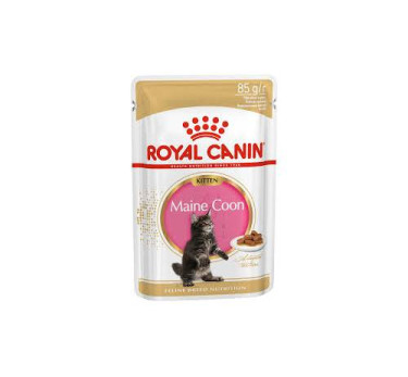 Royal Canin Maine Coon Kitten 4-15 мес, кусочки в соусе для котят породы Мейн-Кун